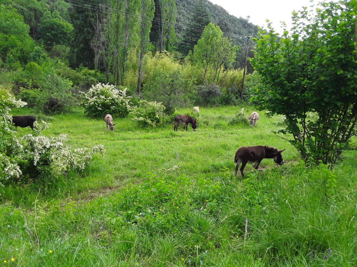 Natur'Anes Villa Mialet  Exterior photo